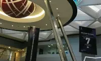 Tiga Saham Terbang Disorot! Dua Ambles, PACK Malah Ngegas