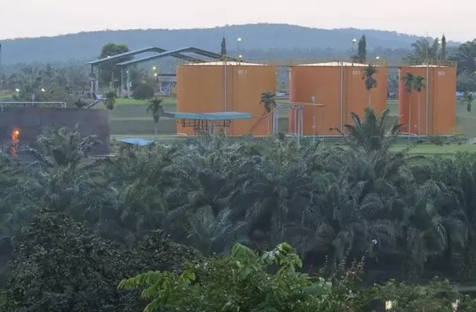 Dirut Emiten TP Rachmat (TAPG) Kembali Lepas Saham Harga Atas