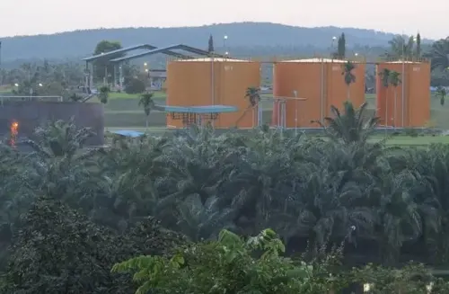 Dirut Emiten TP Rachmat (TAPG) Kembali Lepas Saham Harga Atas