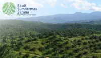 SSMS Beber Free Float  29,16%, Jery Borneo Putra  sebagai Pemilik Manfaat