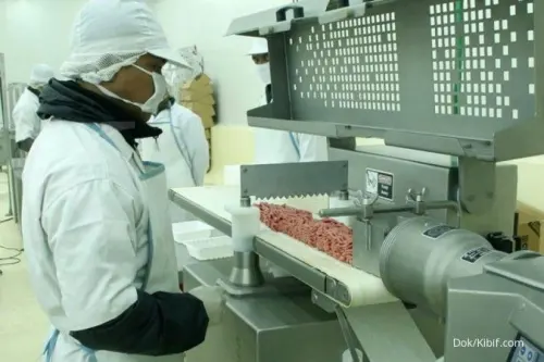 Riset Soroti Peluang Pertumbuhan Jangka Panjang BEEF, Kenapa?