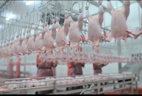 WMUU Raih Restu Rights Issue Jumbo &amp; Utang Rp405 M Dikonversi!