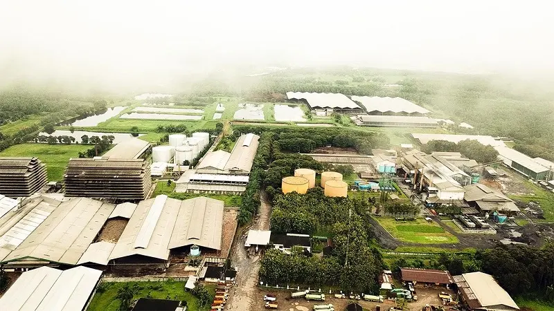 Pengendali Berganti, Komut PNGO Lepas Habis Saham Rp545M