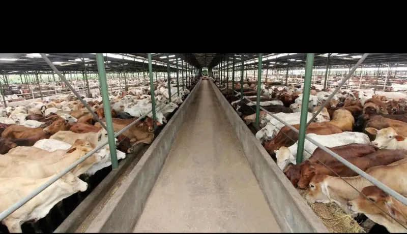 WMPP Kantongi Restu Right Issue 8,5 Miliar Saham
