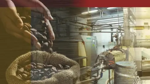 COCO Tak Sisihkan Dividen, Laba Ditahan Perkuat Bisnis