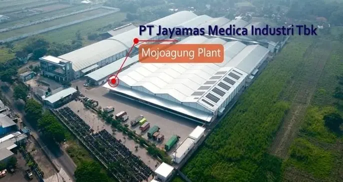 OMED Bagikan 15,6 Juta Saham ke Direksi dan Karyawan, Harga Diskon!